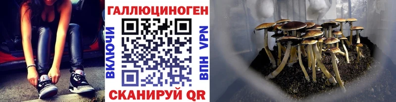 Галлюциногенные грибы прущие грибы  где можно купить наркотик  Куйбышев 